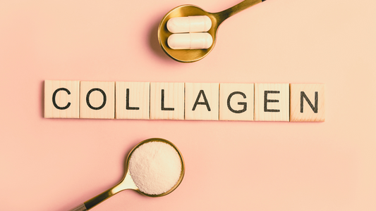 Le Collagène : Pourquoi est-il si important ?